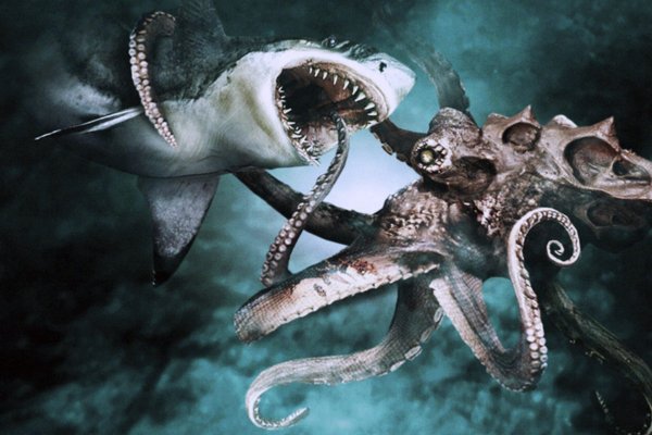 Kraken 14at