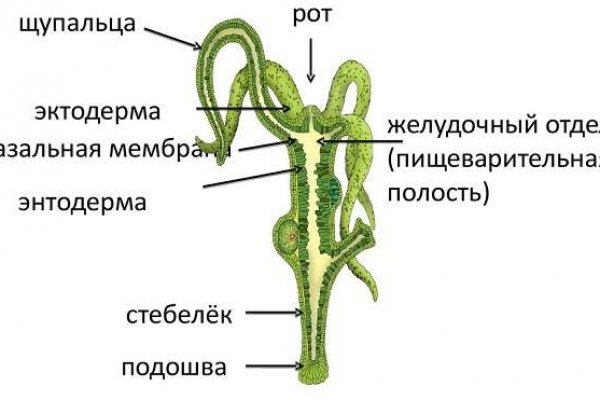 Модератор на кракене